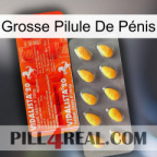 Grosse Pilule De Pénis new01